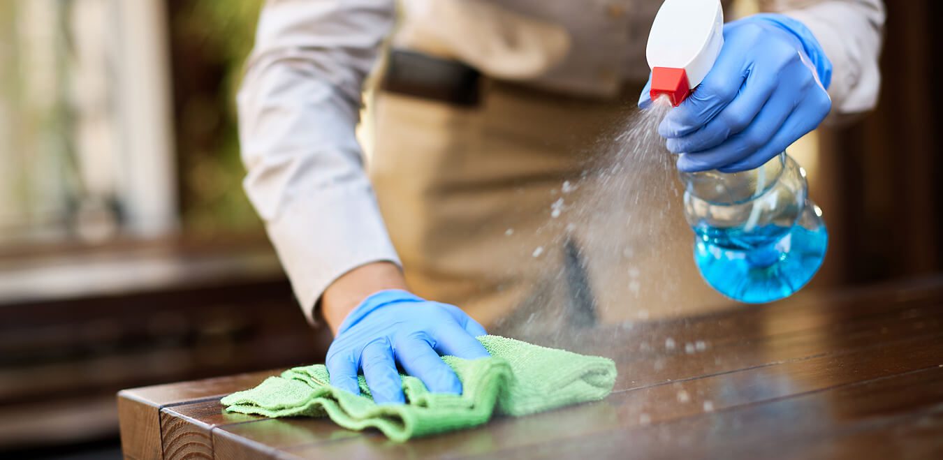 Section Image ( Steam Cleaning vs. Traditional Cleaning )